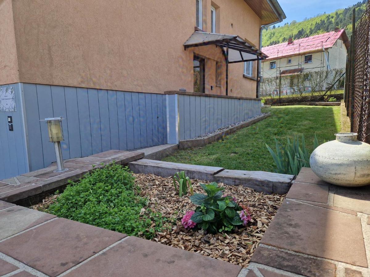 Apartmán L'Ecole Buissonniere Dabo Exteriér fotografie